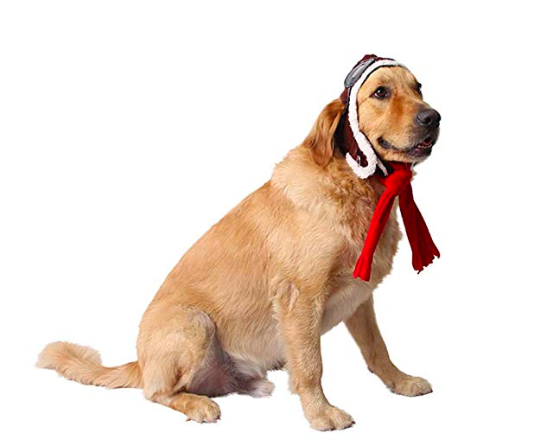 14 Pacific Northwest-Inspired Halloween Costumes for You and Your Pet